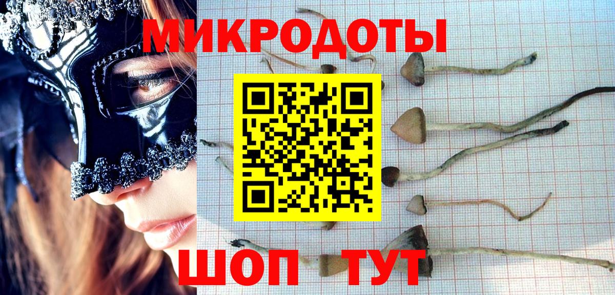 Сорочинск  Галлюциногенные грибы прущие грибы  Вход с VPN 